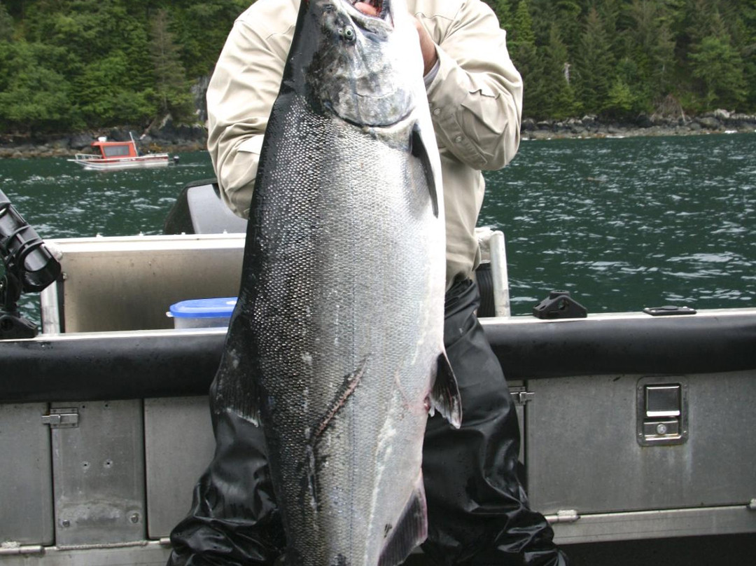 West Wave Fishing-哈迪港必去景点