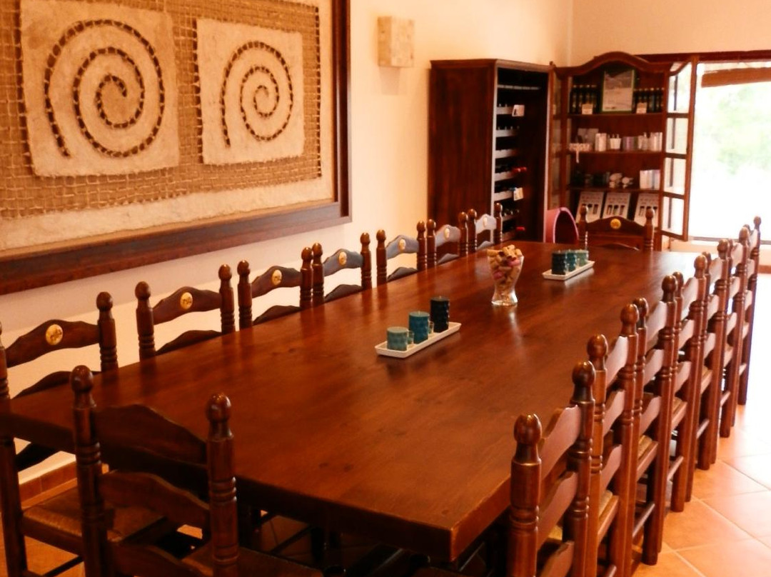 Bodega Cyan-Toro必去景点