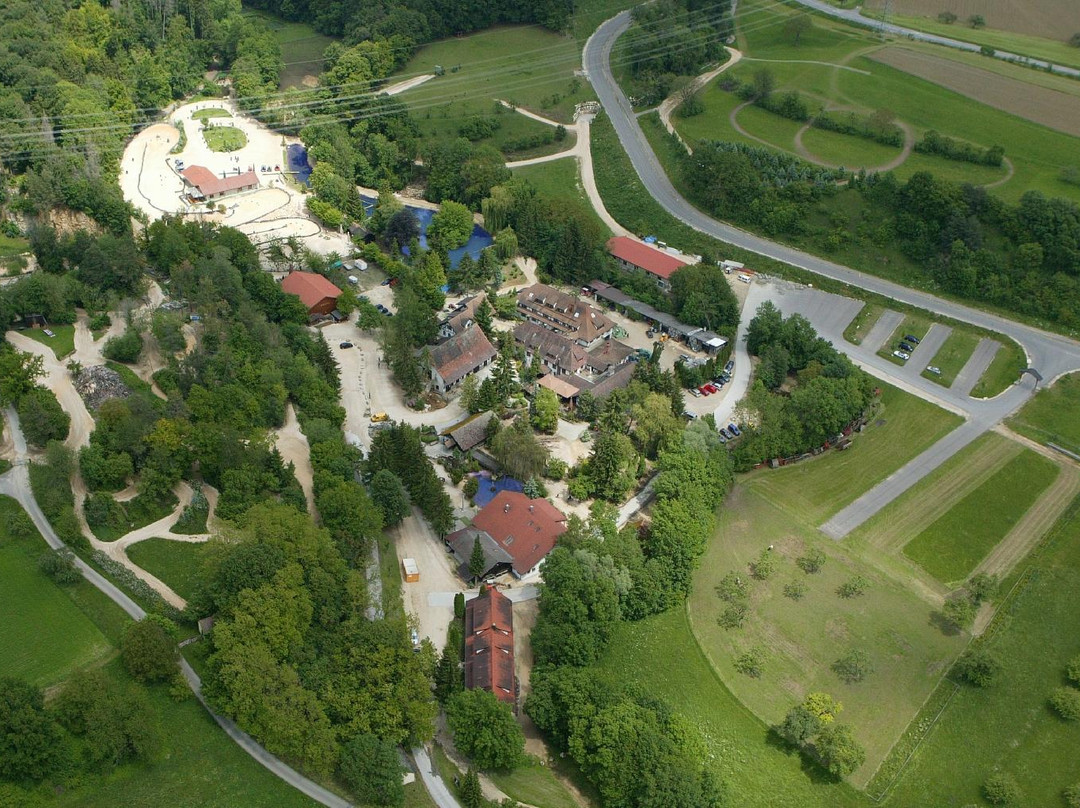 Eigeltingen餐馆和美食-Lochmuhle