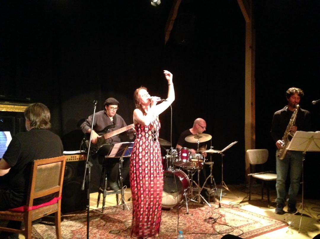 Munganga theatre-阿姆斯特丹必去景点