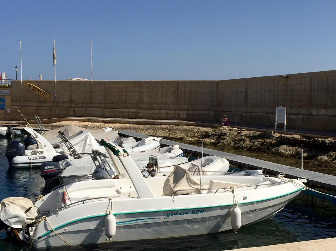 D1 Watersports-圣朱利安斯必去景点