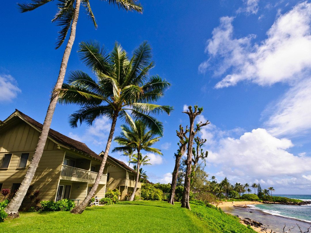 Kapaa Sands