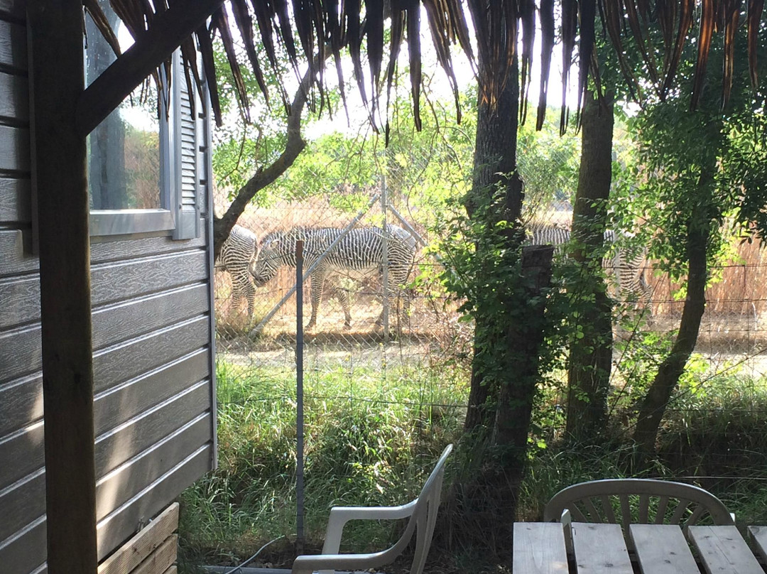 CAMPING La Grange Neuve