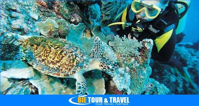 Bie Tour and Travel - Day Tours-韦岛必去景点