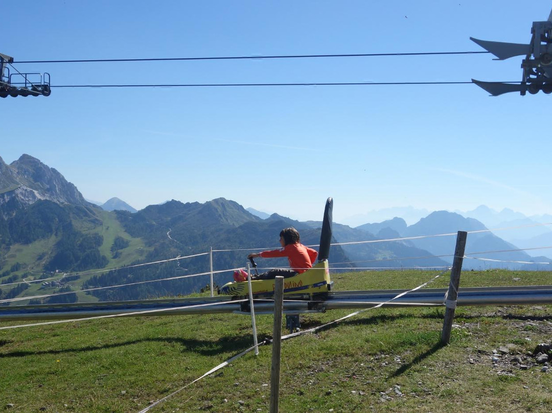 Sommerrodelbahn Pendolino景点图片