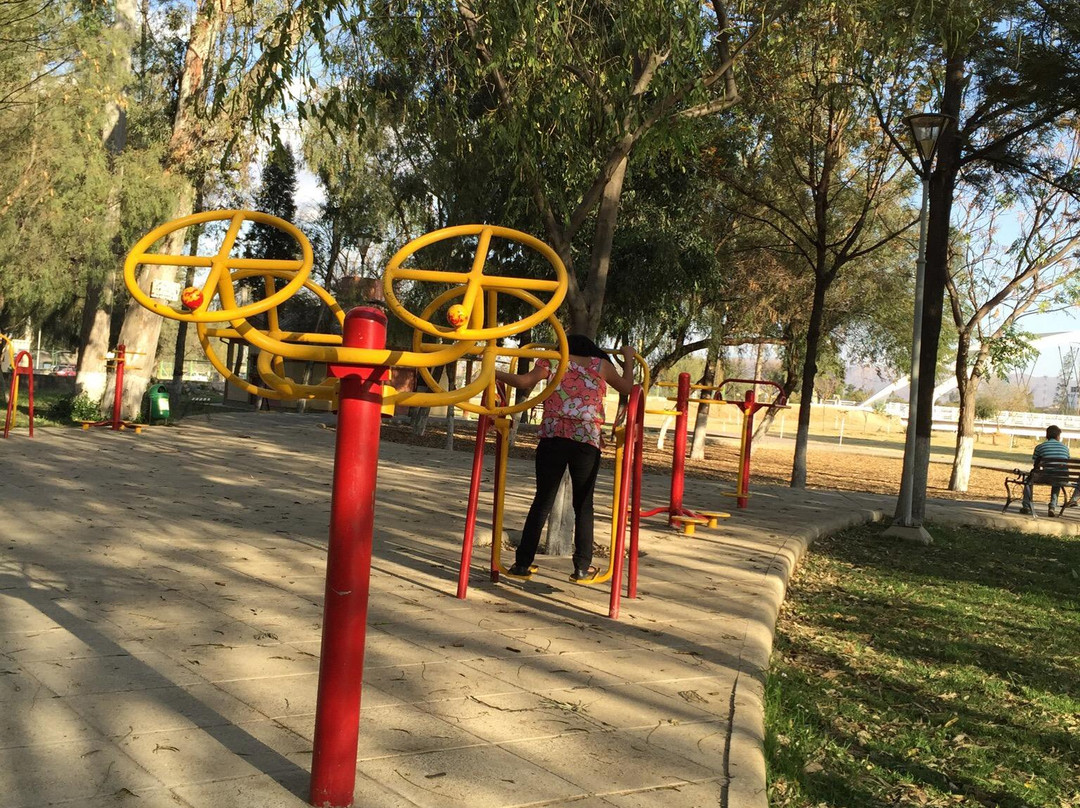 Parque La Costanera-塔里哈必去景点