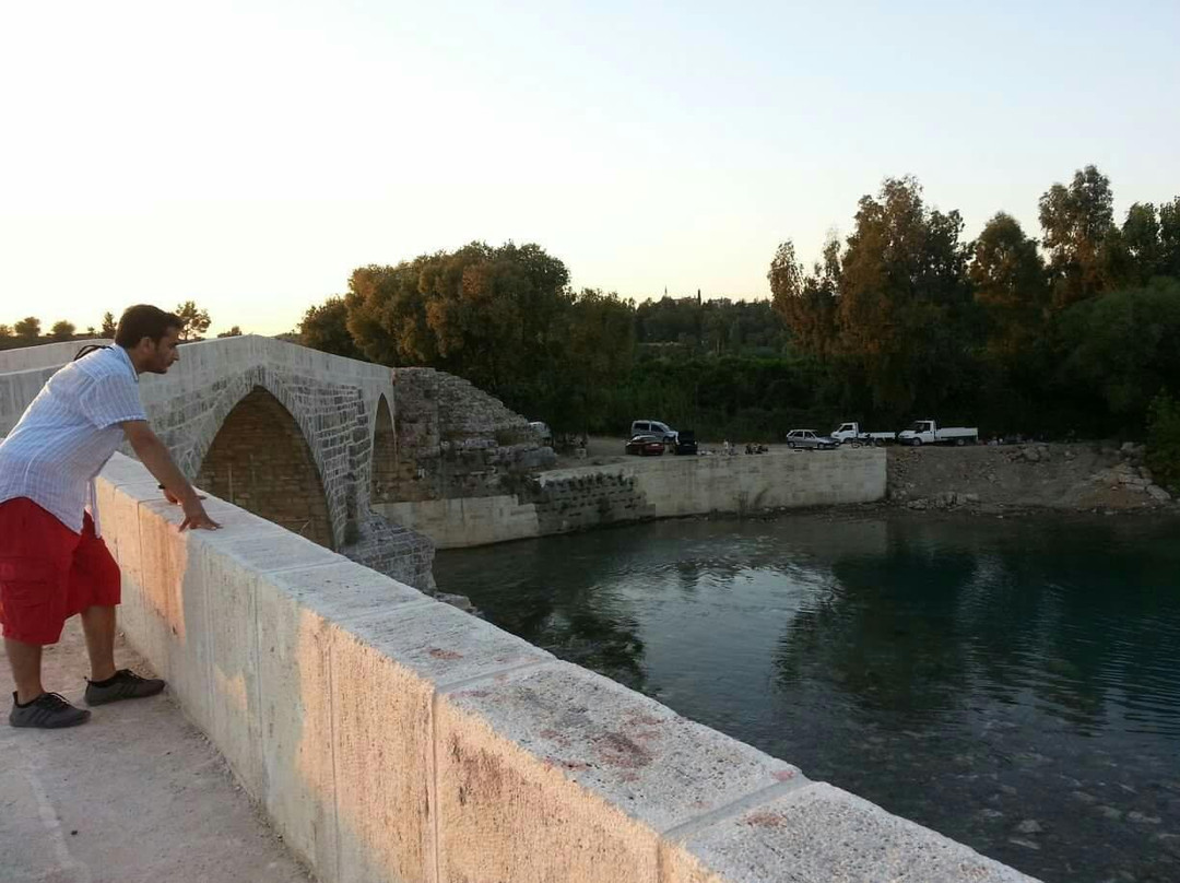 Aspendos Bridge景点图片