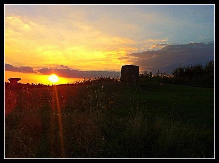 Bedfont Lakes Country Park景点图片
