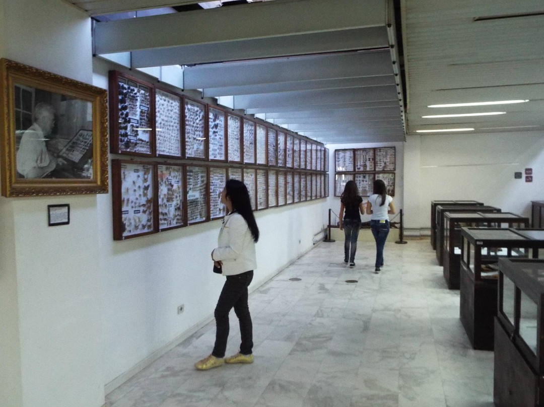 Parana Memorial House-Ponta Grossa必去景点