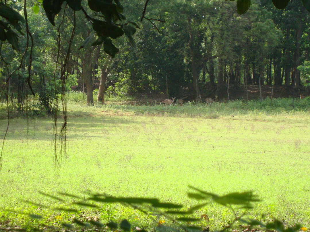 Ballavpur Wildlife Sanctuary景点图片