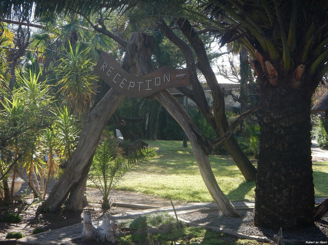 Zelda Guest and Game Farm