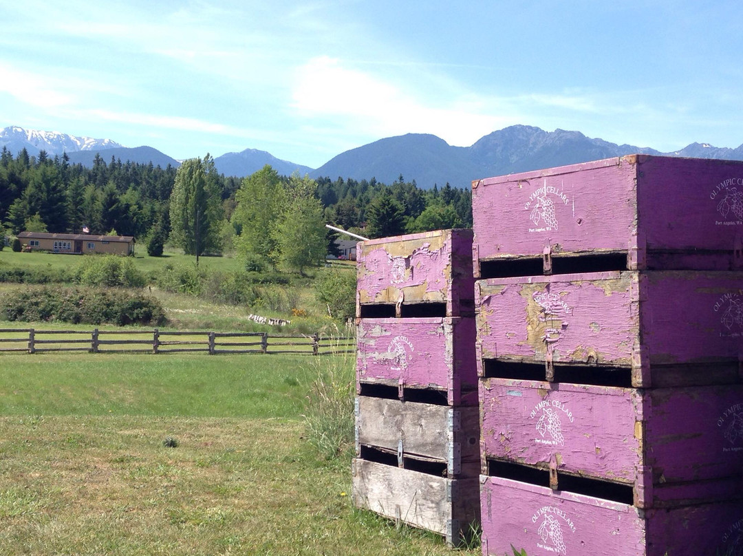 Olympic Cellars Winery景点图片
