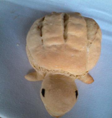 Pongara Lodge-餐饮