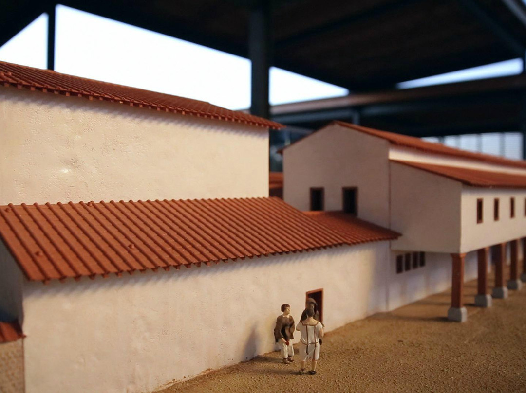 La Domus de Cieutat, Elusa-Eauze必去景点