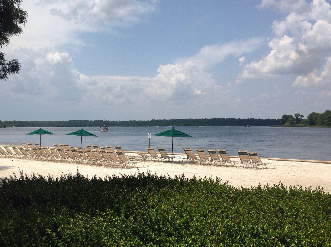 Teton Boat and Bike Rentals-奥兰多必去景点