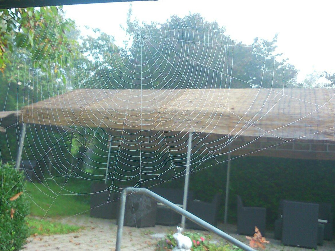 Hotel & Gasthof Die Krone主图