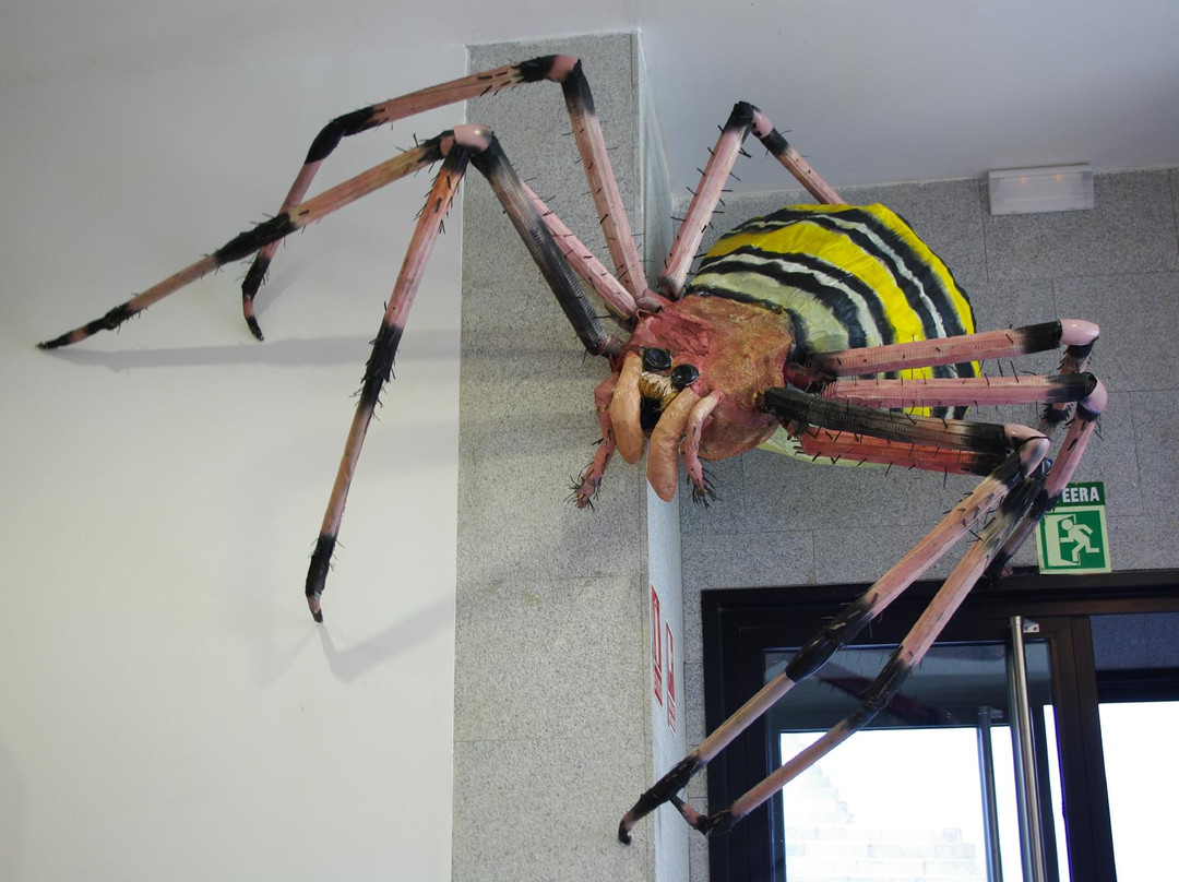Centro de Biodiversidad de Euskadi景点图片