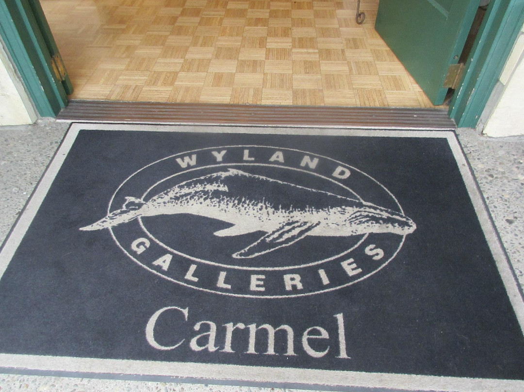 Wyland Gallery Carmel-卡梅尔必去景点