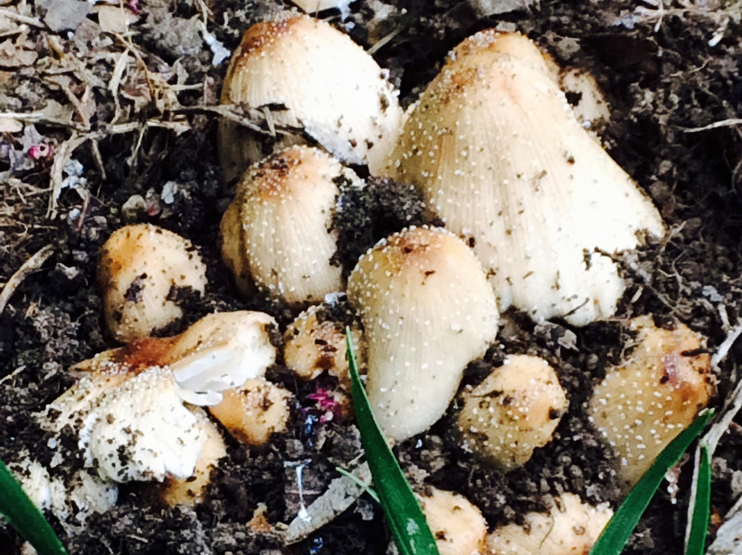 Gateway Science Museum-奇科必去景点