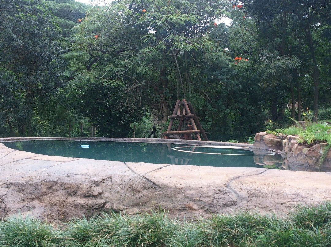 Treehouse River Lodge Spa景点图片