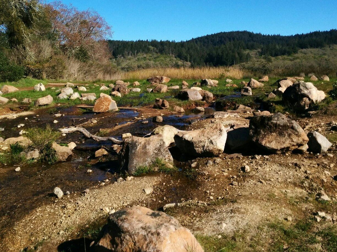 Annadel State Park景点图片