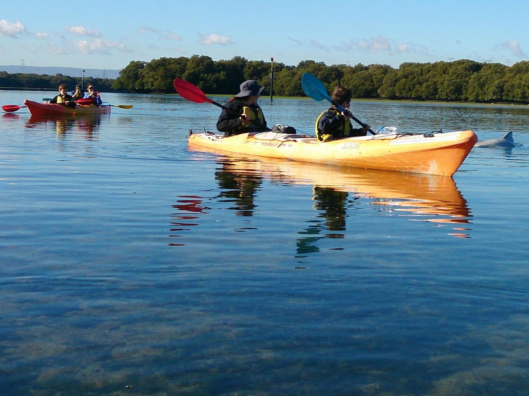 Adventure Kayaking SA-阿德莱德必去景点