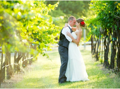 Wales Manor Vineyard & Winery-麦金尼必去景点