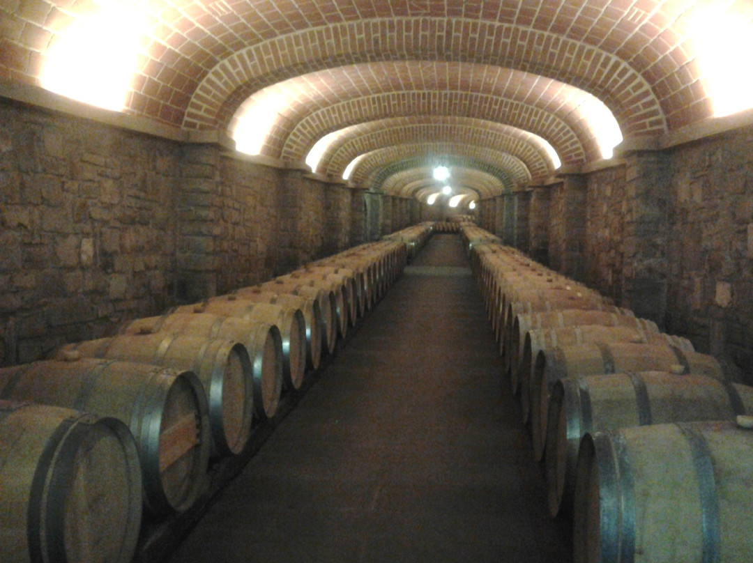 Silvia Iovino-佛罗伦萨必去景点