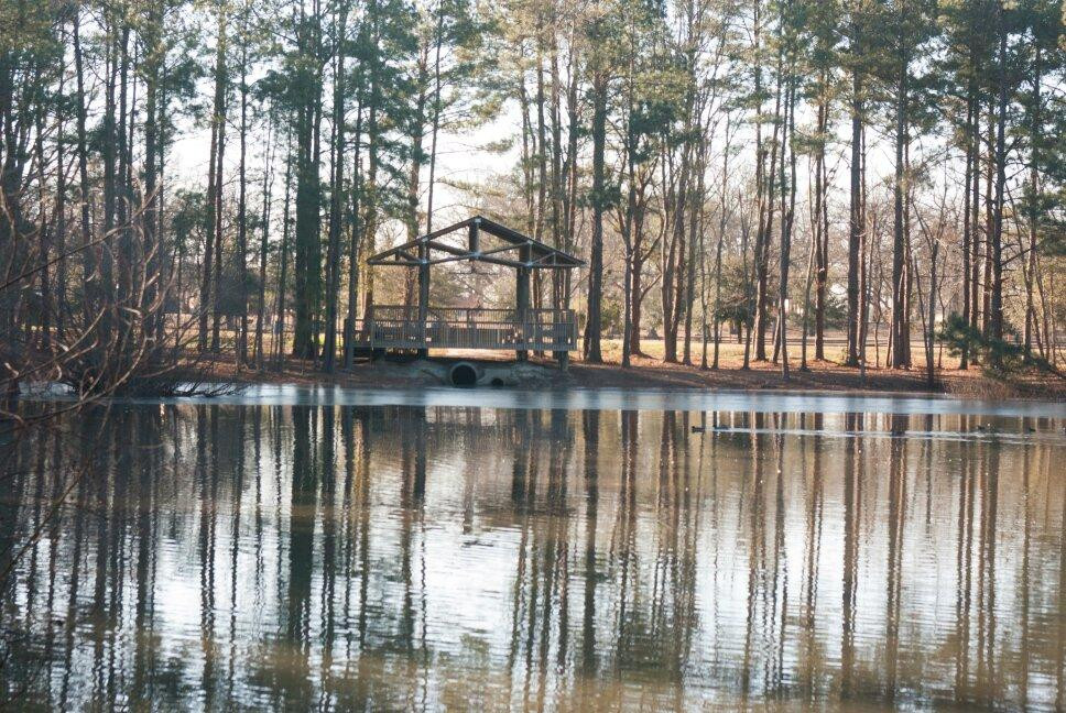Carolina Bay Nature Preserve景点图片