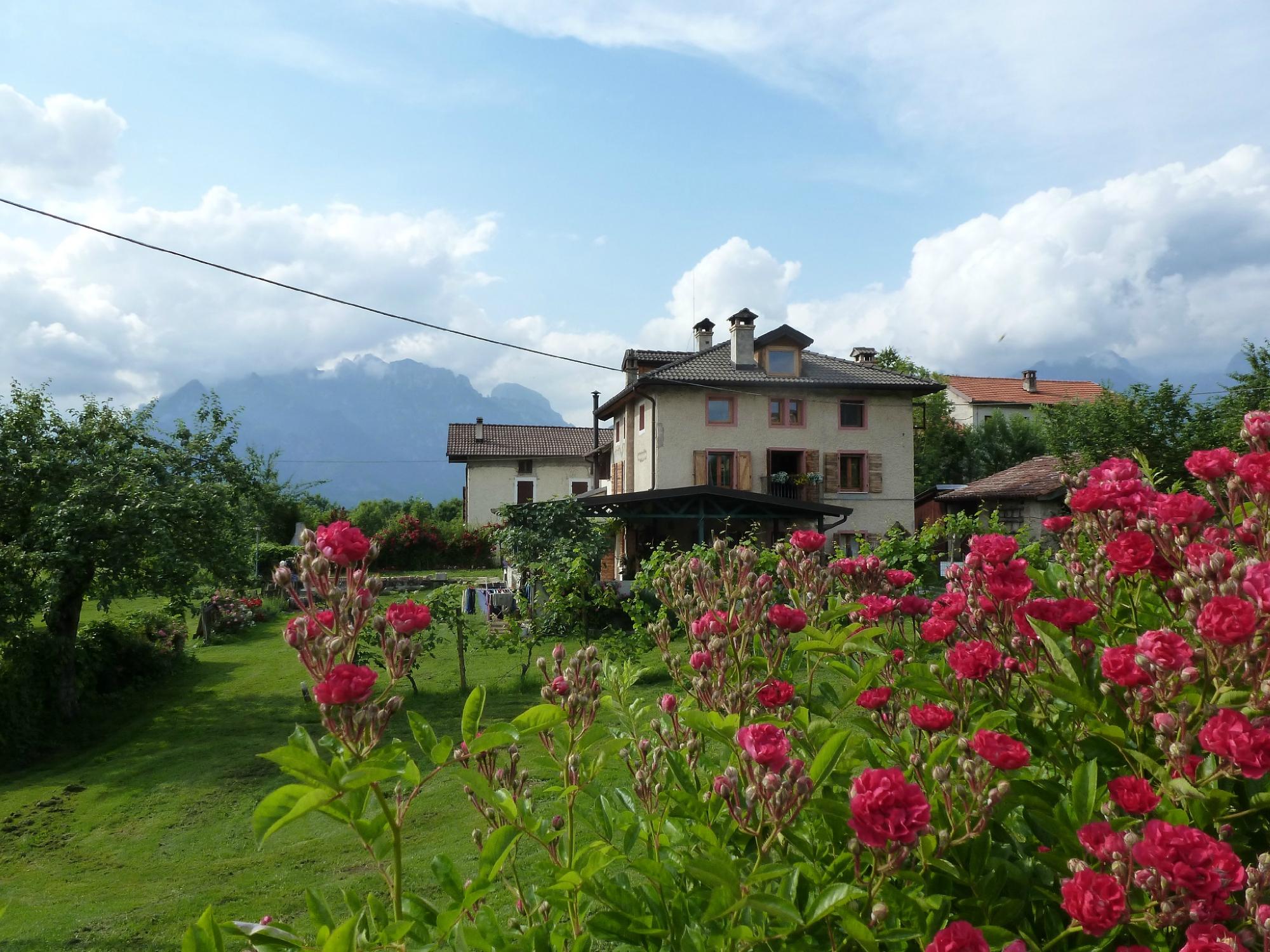 Casa di Campagna Dolomiti Bellunesi-官方