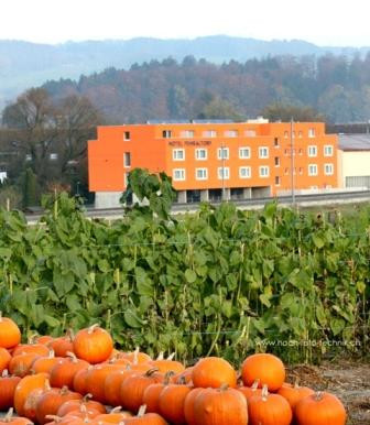 Auslikon酒店住宿-Motel Fehraltorf