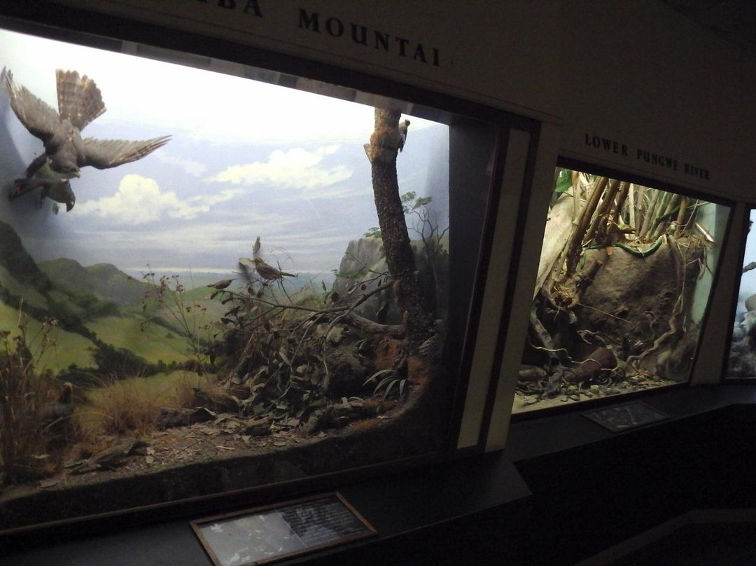 Mutare Museum-穆塔雷必去景点