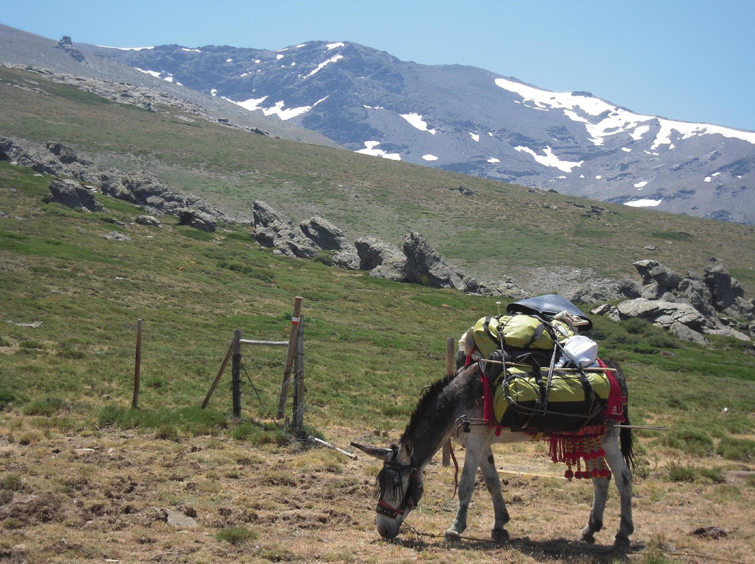 El Arriero Sierra Nevada景点图片