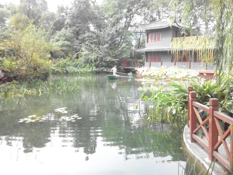 百花潭公园-成都必去景点