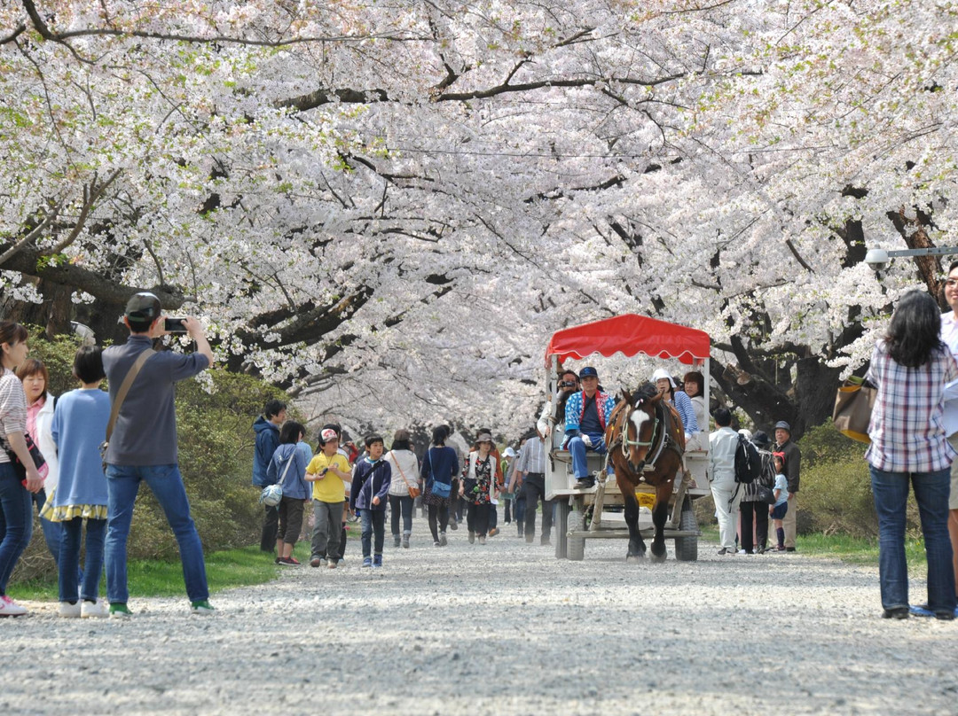 Tenshochi Park-北上市必去景点