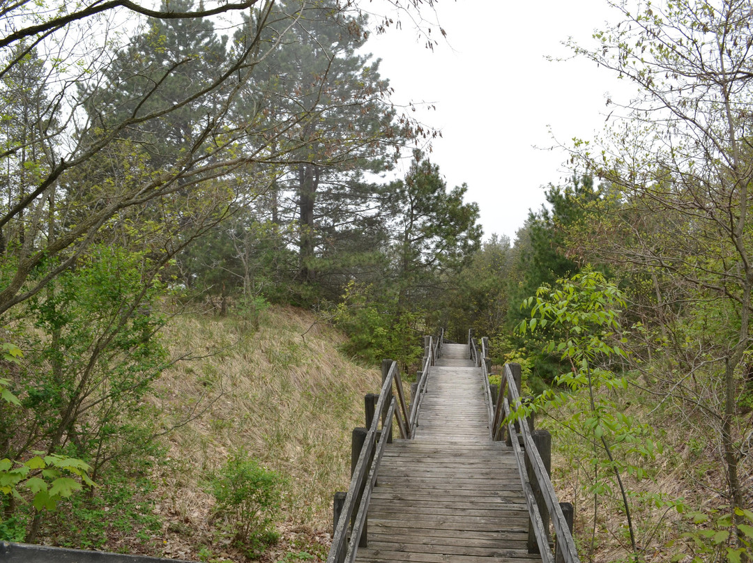 Covert Park Beach & Campground
