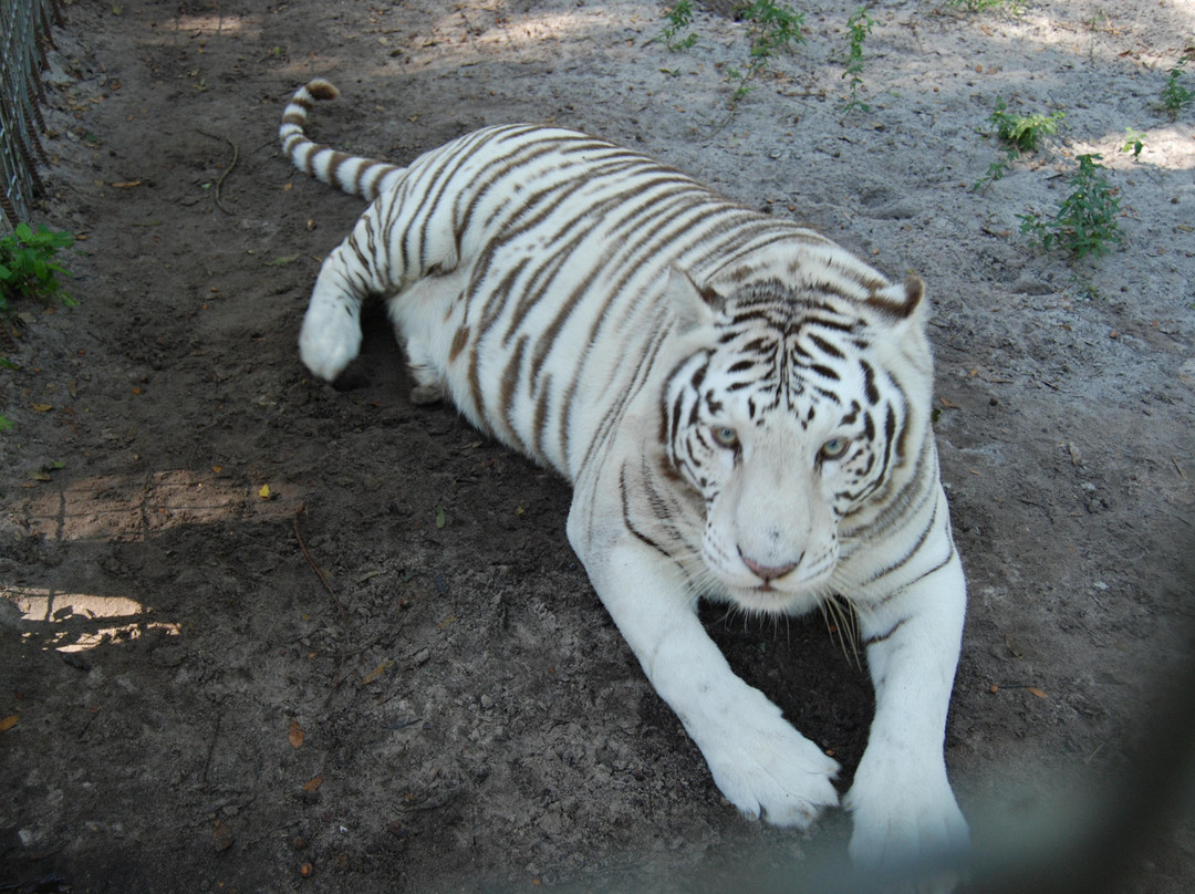 Endangered Animal Rescue Sanctuary-Citra必去景点