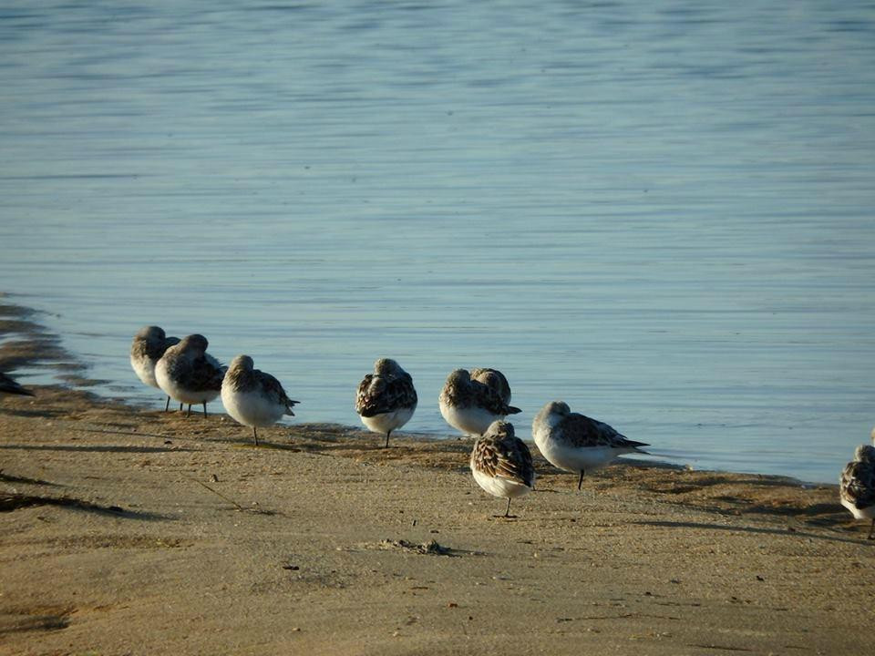 ALGARVE WOW- Day Tours-Almancil必去景点