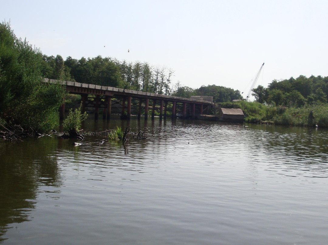 Anzali Lagoon景点图片