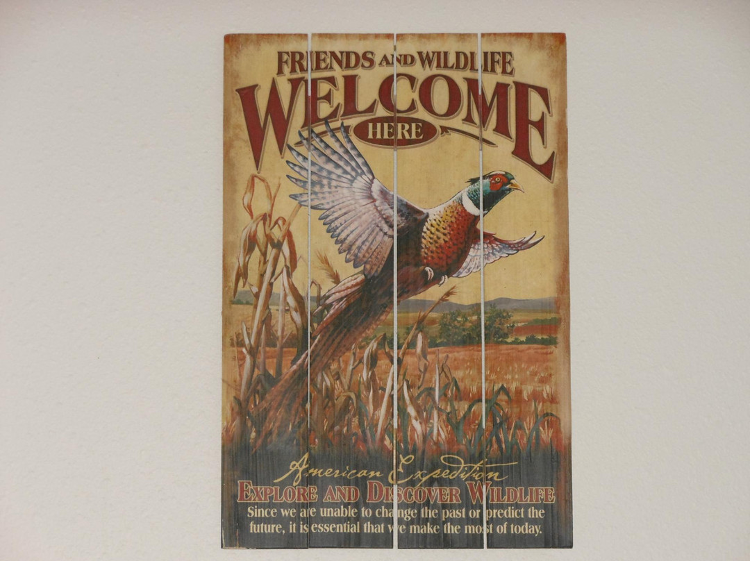 Beaver Creek Inn and Suites主图