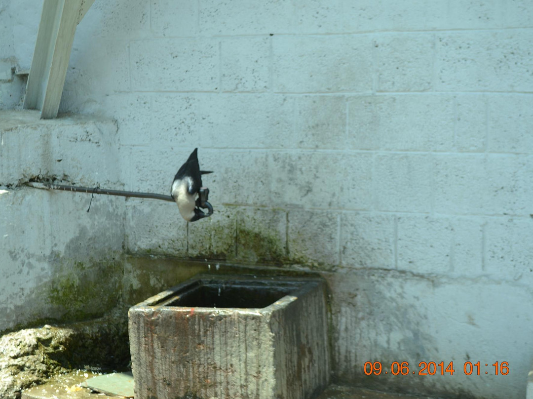 Makhdoom Sahib Shrine-斯利那加必去景点