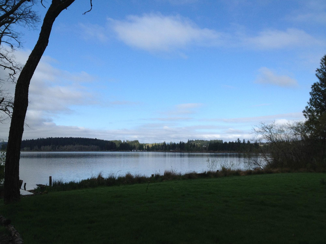 Treehouse Island Zipline Adventures-Silverlake必去景点