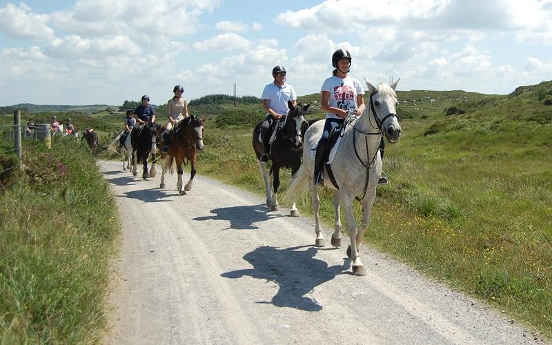 Moycullen Riding Centre-Moycullen必去景点