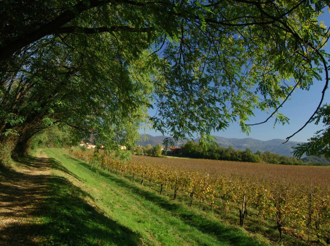 Paderno Franciacorta旅游攻略图片