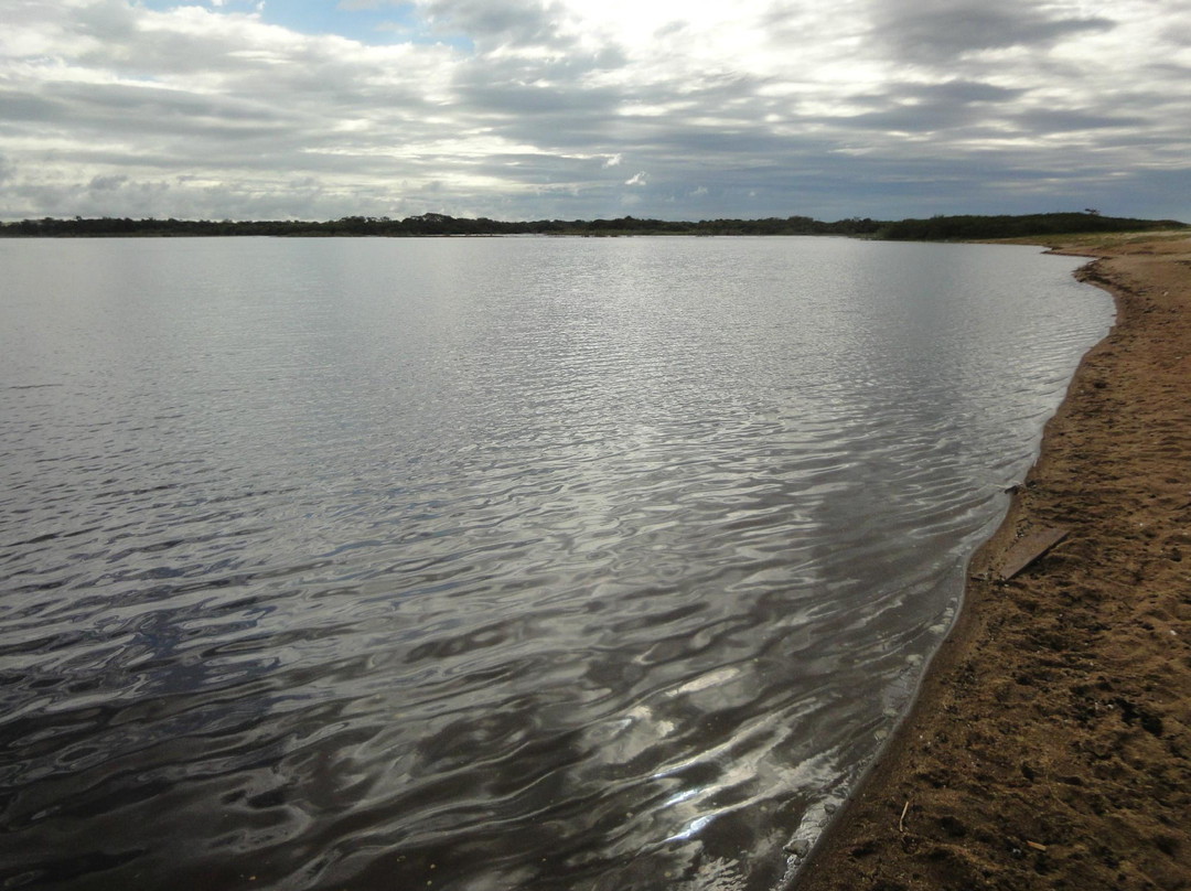 Nacional Park of Restinga de Jurubatiba景点图片