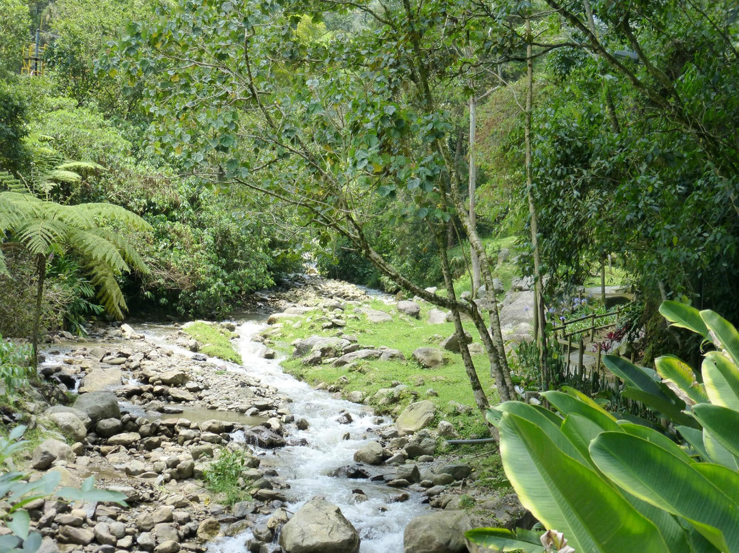 Parque El Salado-恩维加多必去景点