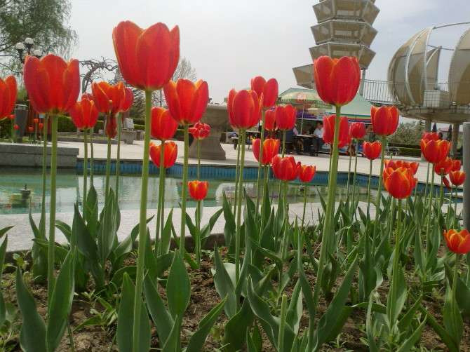 石家庄植物园-鹿泉市必去景点