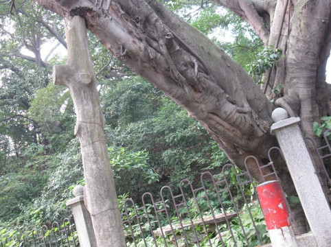 黄埔军校旧址纪念馆-广州市必去景点