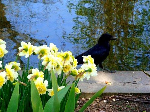 Paris in Person-巴黎必去景点