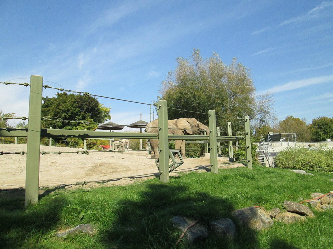 多伦多动物园-多伦多必去景点